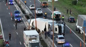 Un camión volcó en la circunvalación de Santa Fe, los pollos que llevaba «volaron»