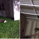 Irrumpió en una obra, huyó por los techos y terminó detenido tras una caída en Santa Fe