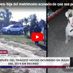 «El asesino está libre y quieren culpar a mis perros», dijo Ivana Reyes sobre la muerte de Diego Roman en Recreo