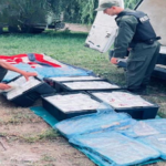 «Los Pumas» incautaron más de 300 kilos de filetes y productos elaborados con pescado