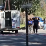 Un perro atacó a una nena de 4 años, la mordió en el cuello y la mató en Cosquín