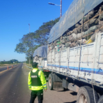 Santa Fe: Secuestraron más de 56 toneladas de carbón transportadas sin documentación forestal