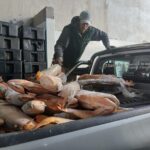 Fuertes operativos contra la caza y la pesca ilegal en Santa Fe, con secuestros y detenidos