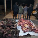 Esclarecieron un hecho de abigeato en el norte santafesino