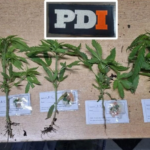 Detuvieron a un hombre tras un allanamiento de la PDI  en Rafaela : Amenazas, disparos al aire y tenencia de droga