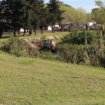 Fenómeno de El Niño: comenzaron los trabajos de limpieza y desmalezamiento en el canal de desagüe pluvial del Túnel Subfluvial