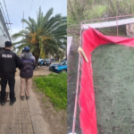 Detuvieron a un hombre por organizar una pelea de gallos y secuestraron municiones