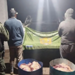 «Los Pumas» decomisaron carne vacuna, secuestraron armas e intervinieron tras infracciones a la «Ley de fauna»