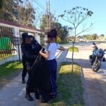 Detienen en Santa Fe a una mujer que debía cumplir con prisión domiciliaria