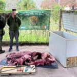 «Los Pumas» esclarecieron un hecho de abigeato en jurisdicción de San José del Rincón