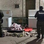 «LOS PUMAS» secuestraron armas, cortes cárnicos y aprehendieron a 3 personas en el norte santafesino