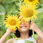 Hoy, 21 de septiembre, se celebra el famoso día de regalar flores amarillas