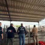La PDI colaboro para el secuestro de 𝐜𝐚𝐛𝐞𝐳𝐚𝐬 𝐝𝐞 𝐠𝐚𝐧𝐚𝐝𝐨 𝐯𝐚𝐥𝐮𝐚𝐝𝐚𝐬 𝐞𝐧 $𝟏𝟔𝟓 𝐦𝐢𝐥𝐥𝐨𝐧𝐞𝐬 𝐩𝐨𝐫 𝐮𝐧𝐚 𝐞𝐬𝐭𝐚𝐟𝐚