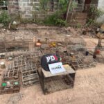 Arocena: La PDI realizó allanamientos y secuestro 47 aves por comercializacion de fauna protegida