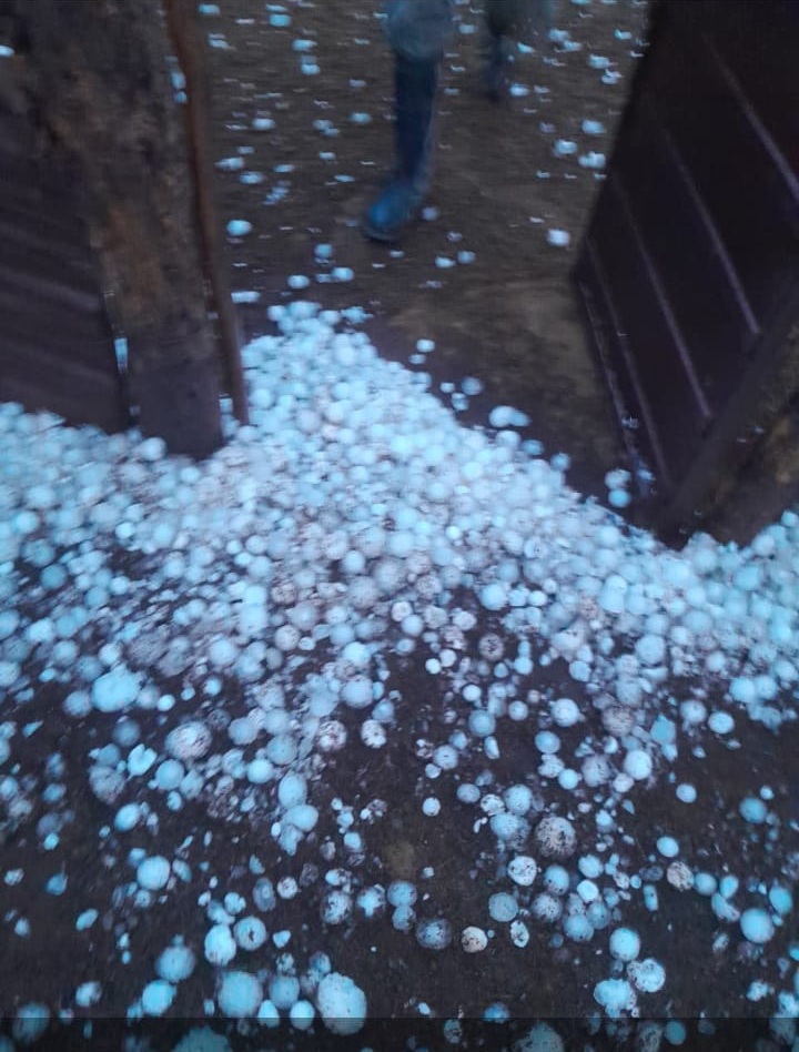 Granizo en varias localidades santafesinas