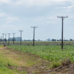 Invertirán más de $1.035 millones para mejorar la infraestructura eléctrica rural de San Justo