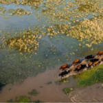 Murió un productor agropecuario de 70 años por las inundaciones en Santa Fe